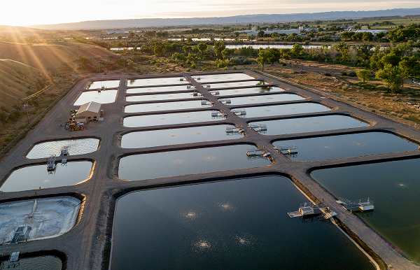 Rows of reflective treatment pools